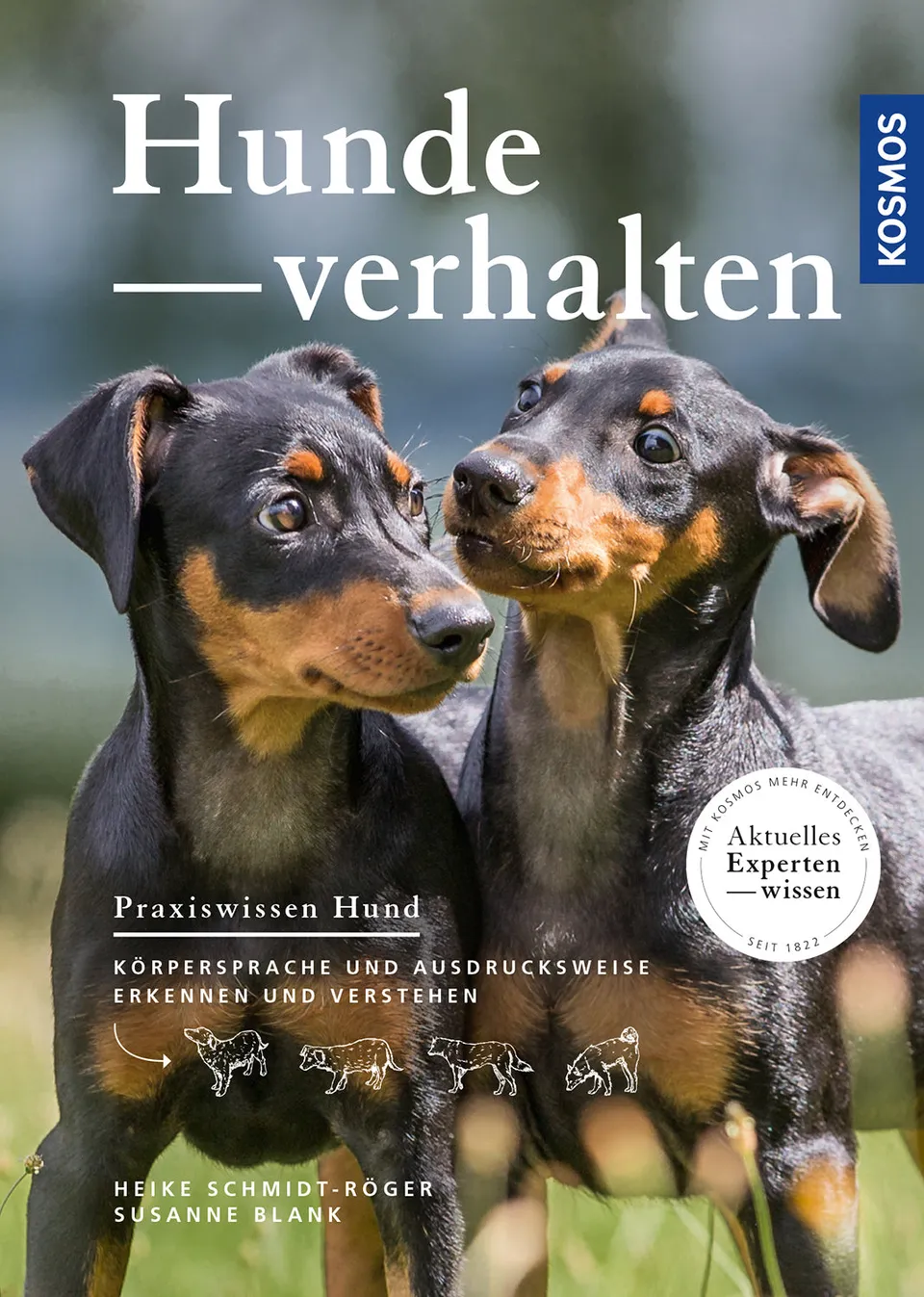 kosmos-hundeverhalten-e-book-k-rpersprache-verstehen image 1