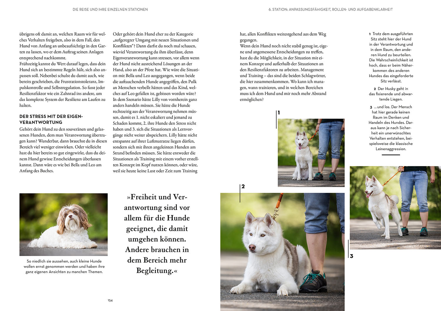kosmos-resilienz-bei-hunden-vanessa-engelst-dter-ratgeber-buch image 6
