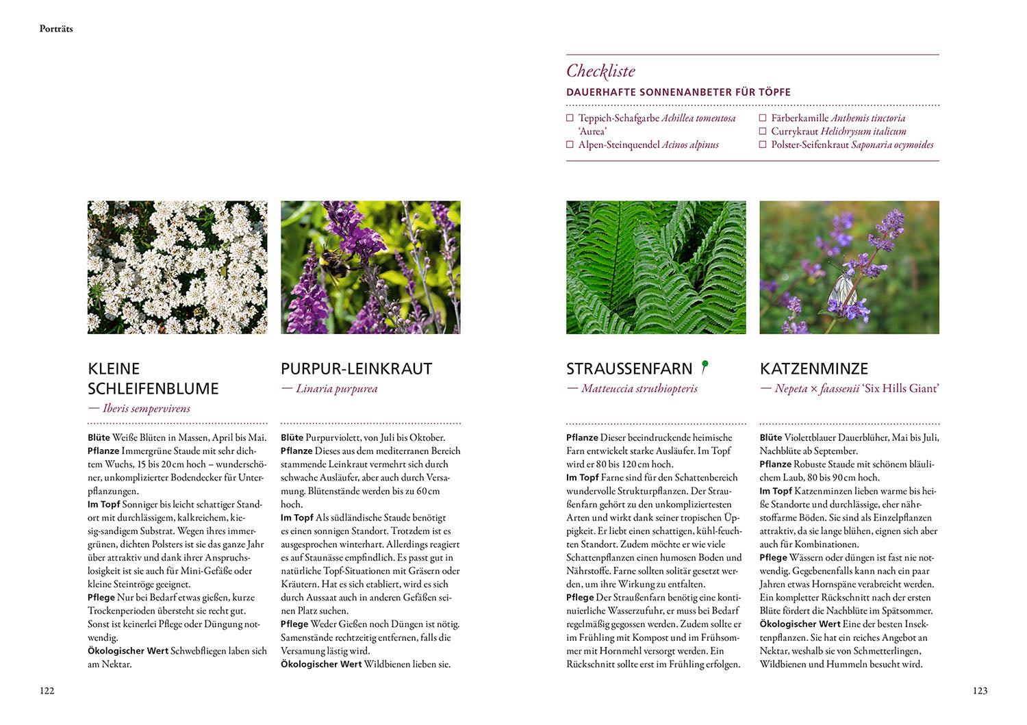 kosmos-wilde-k-bel-gartenbuch-balkon-von-simone-kern image 6