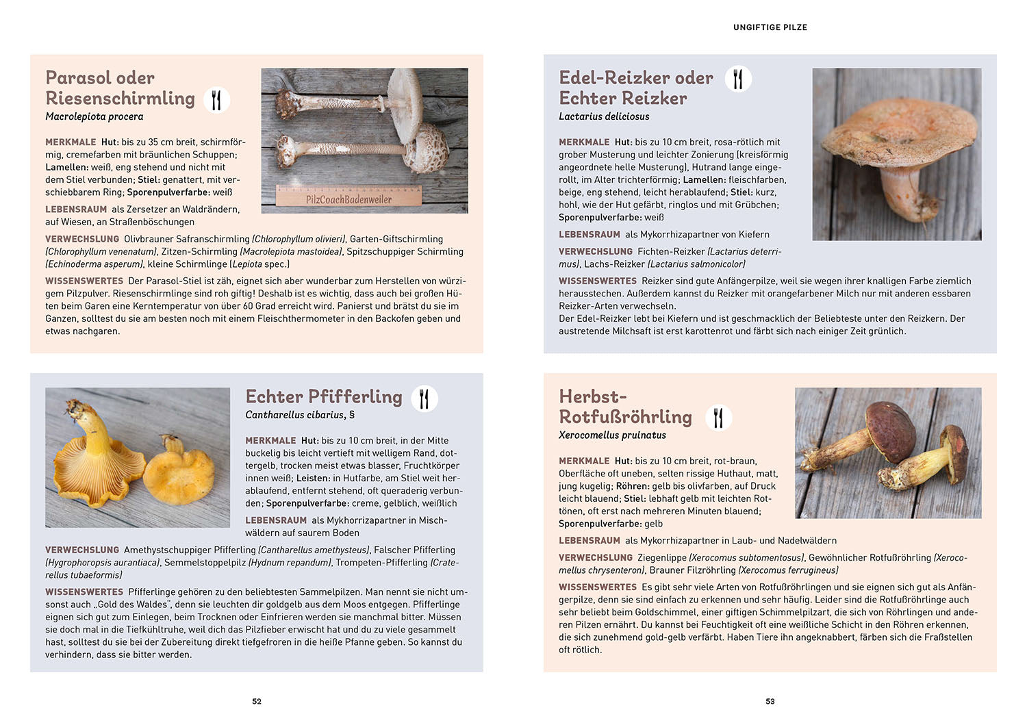 kosmos-pilzbuch-f-r-kids-familienbuch-pilze-wald image 4
