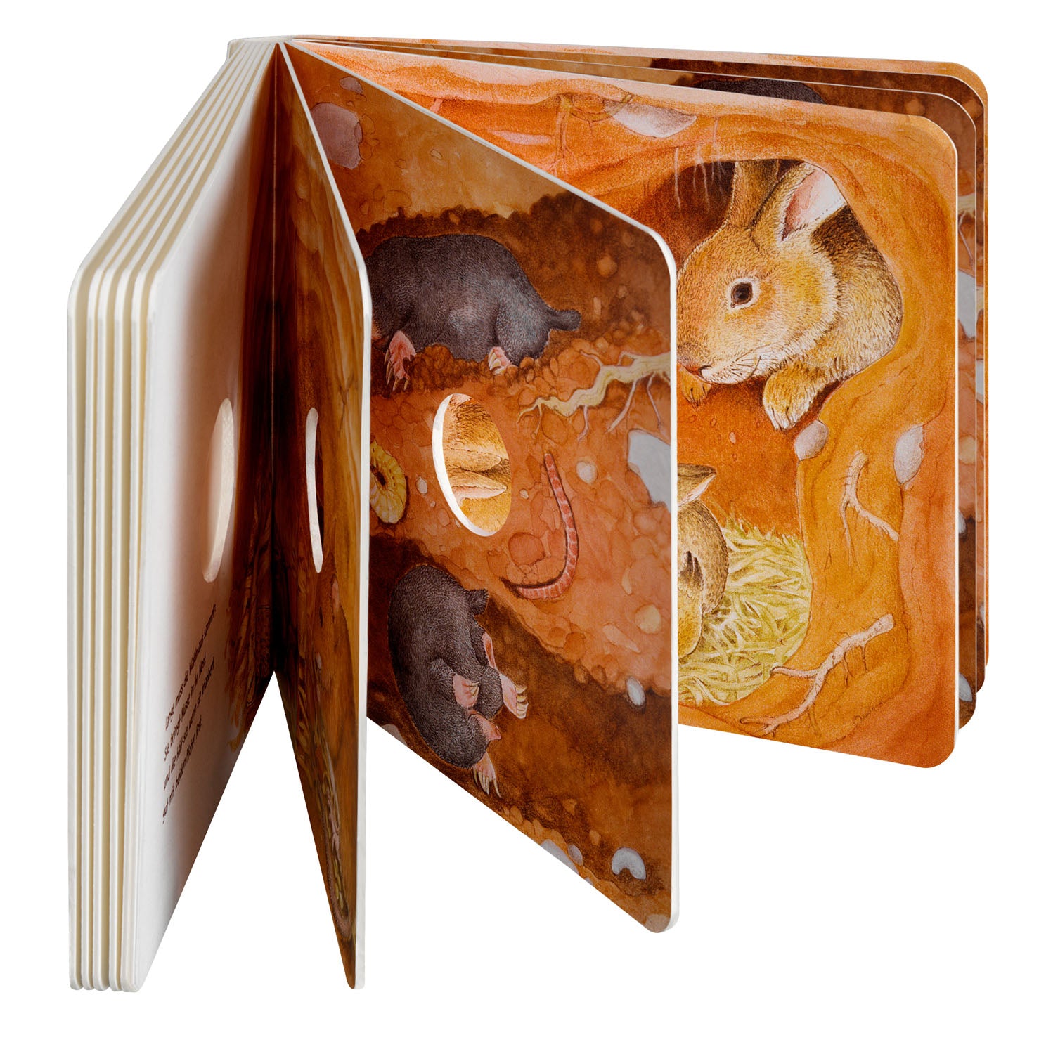 kosmos-guck-mal-unter-die-erde-bilderbuch-mit-l-chern image 4