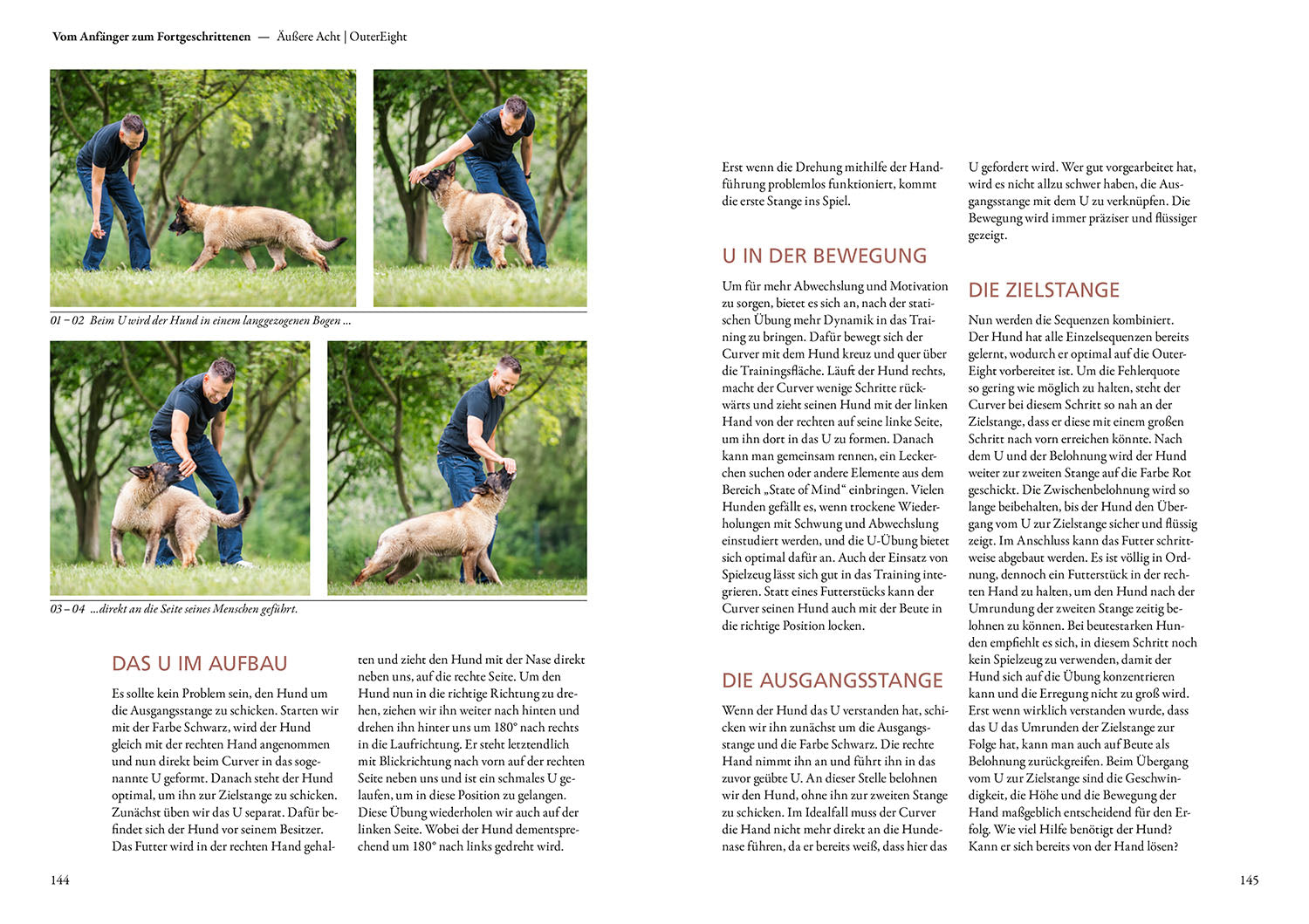 kosmos-curving-hundesport-ratgeber-hundetraining-parcours image 5