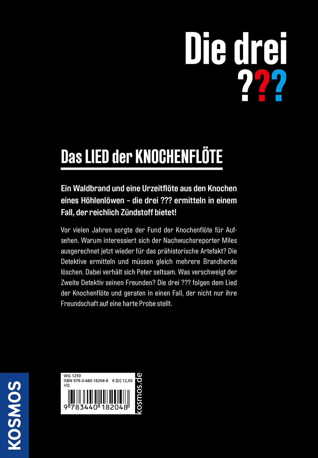 die-drei-das-lied-der-knochenfl-te-kinderkrimi-buch image 2