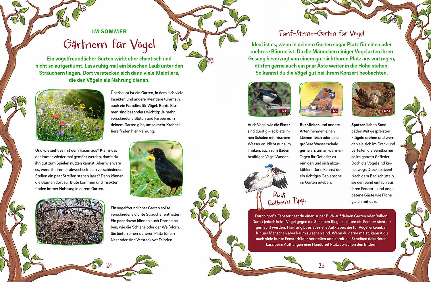 kosmos-arthur-agathe-amsel-buch-futterhaus-v-gel image 4