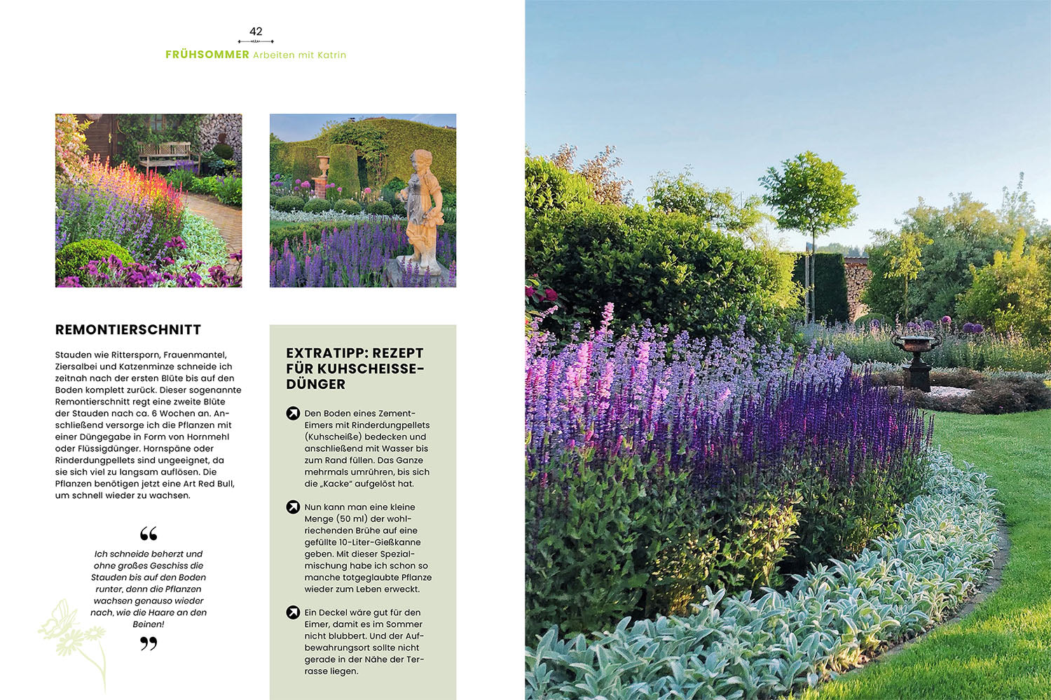 kosmos-mit-witz-charme-methode-gartenbuch-stauden image 3