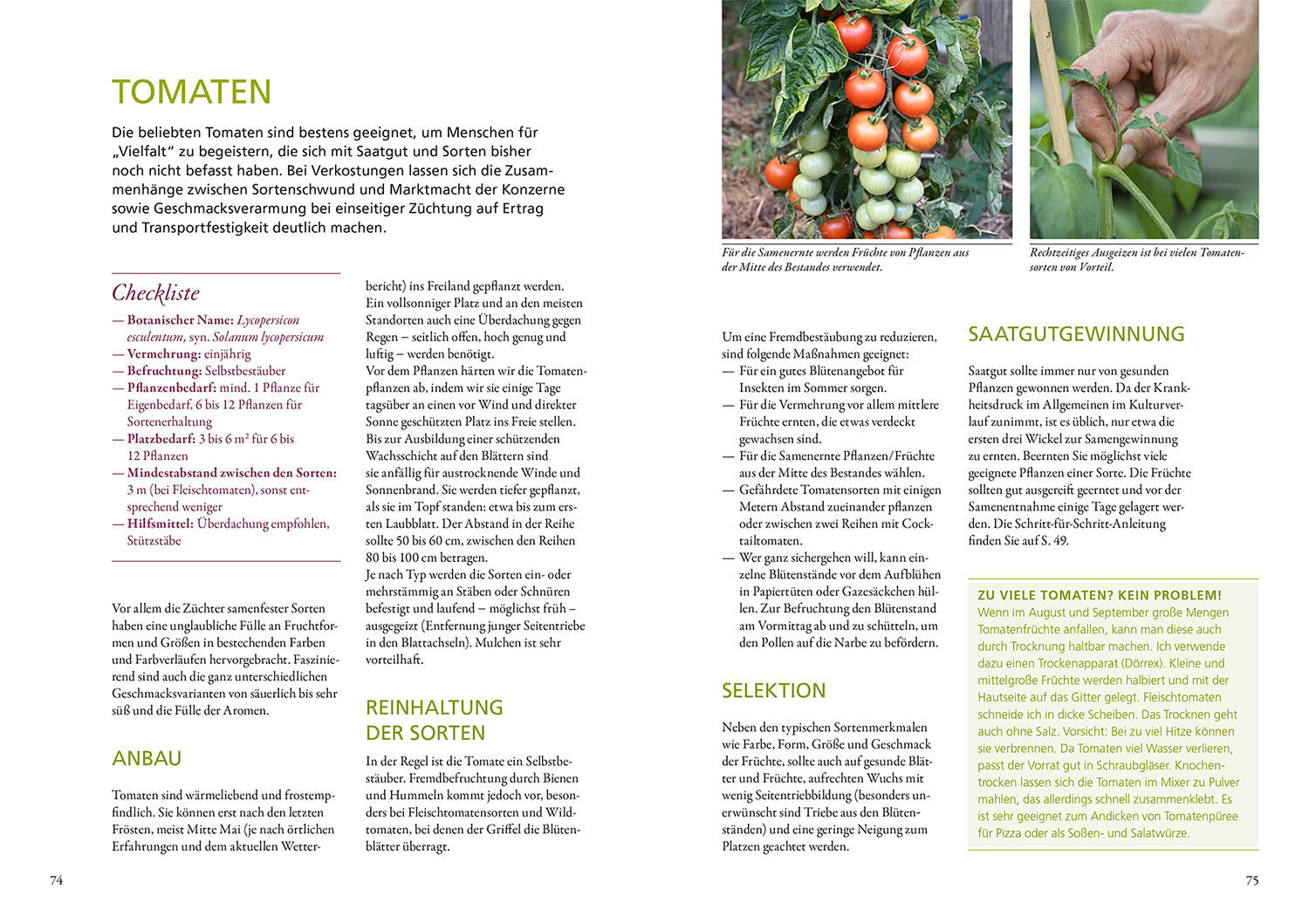 kosmos-meine-samen-g-rtnerei-gartenbuch-saatgut-vermehren image 5