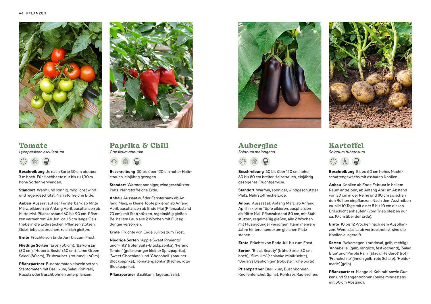 kosmos-hochbeete-melanie-grabner-buch-musterbeete-ernte image 6