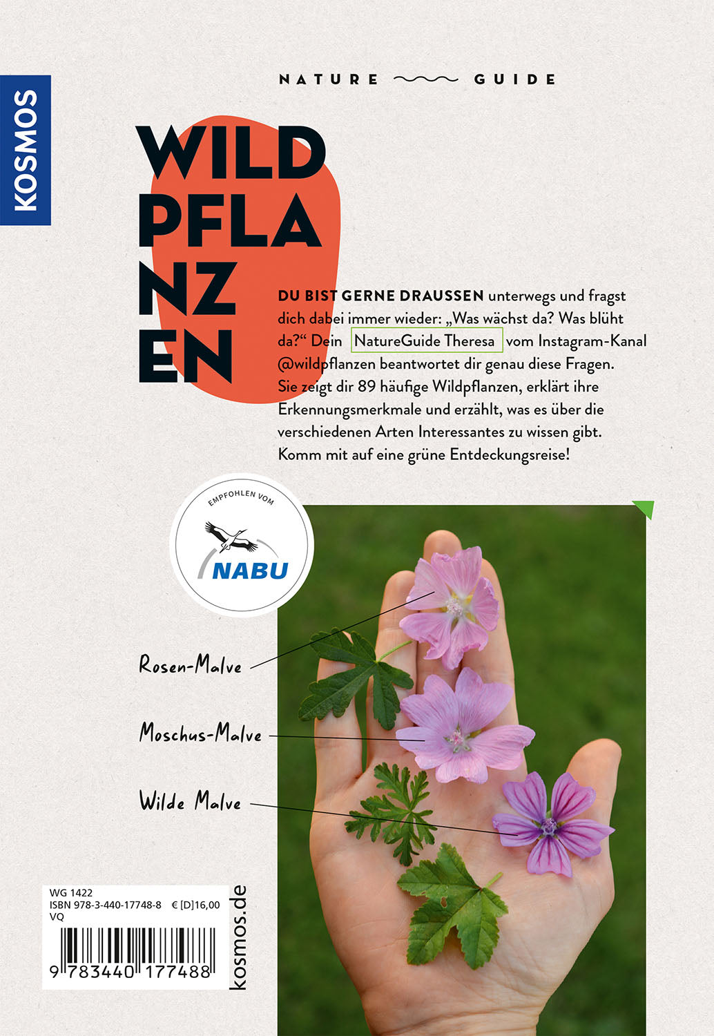kosmos-nature-guide-wildpflanzen-buch-heimische-pflanzen-bestimmen image 2