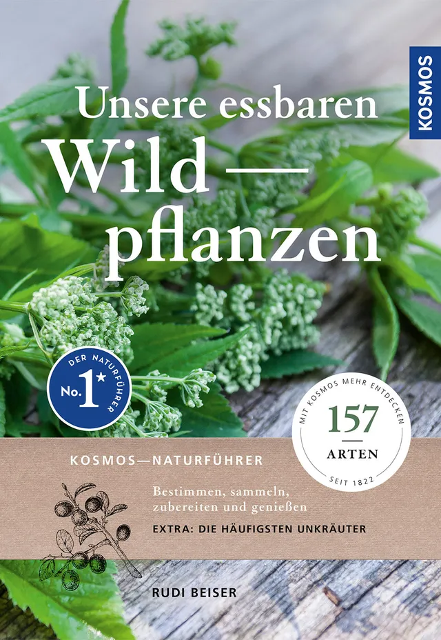 die-zauberkicker-unsere-essbaren-wildpflanzen-wildkr-uter-buch-rezepte image 1