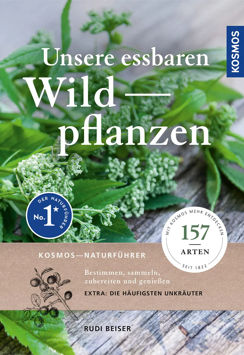 die-zauberkicker-unsere-essbaren-wildpflanzen-wildkr-uter-buch-rezepte image 1
