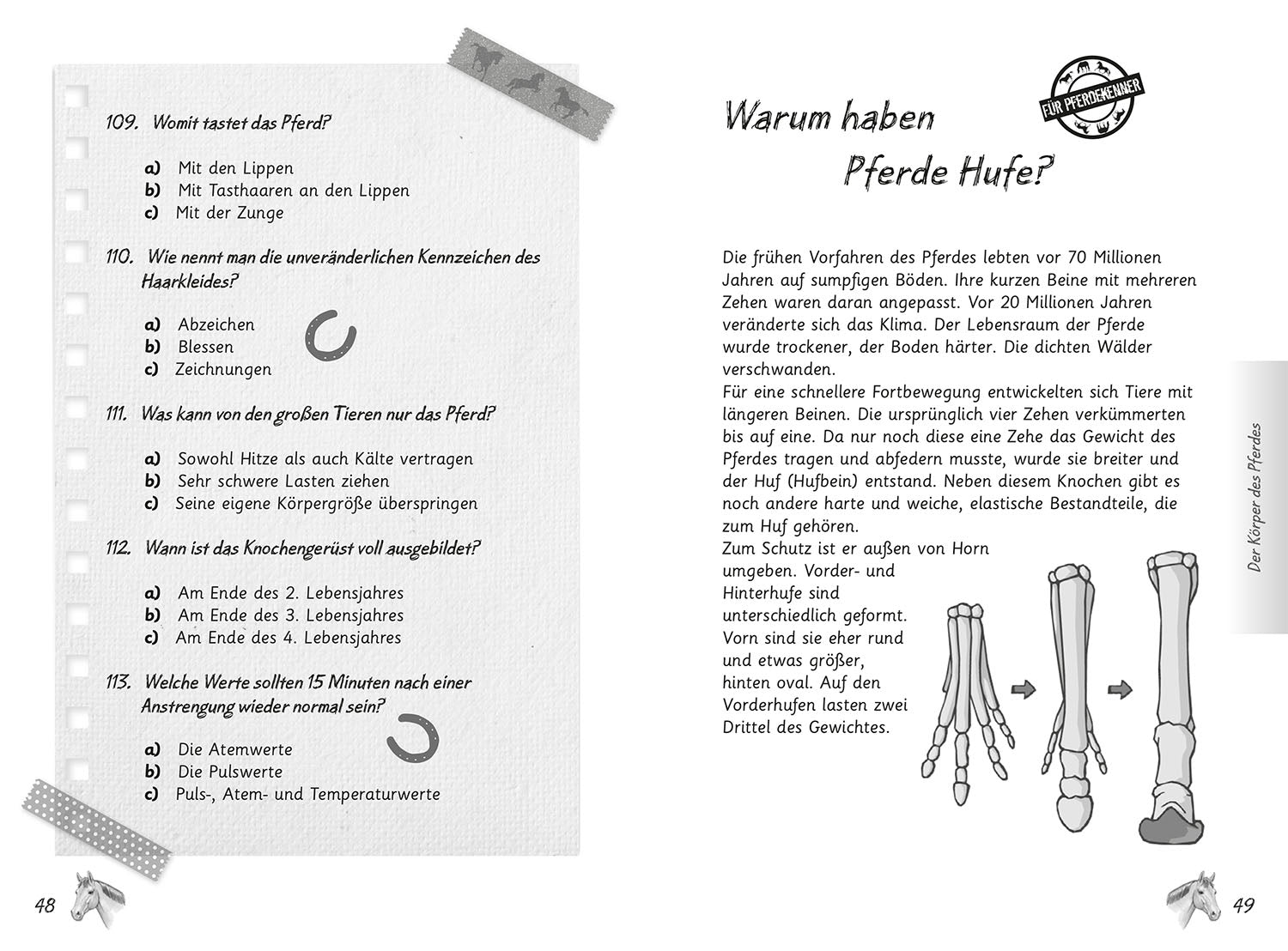 kosmos-mein-pferdequiz-quizbuch-pferderassen-anatomie image 4