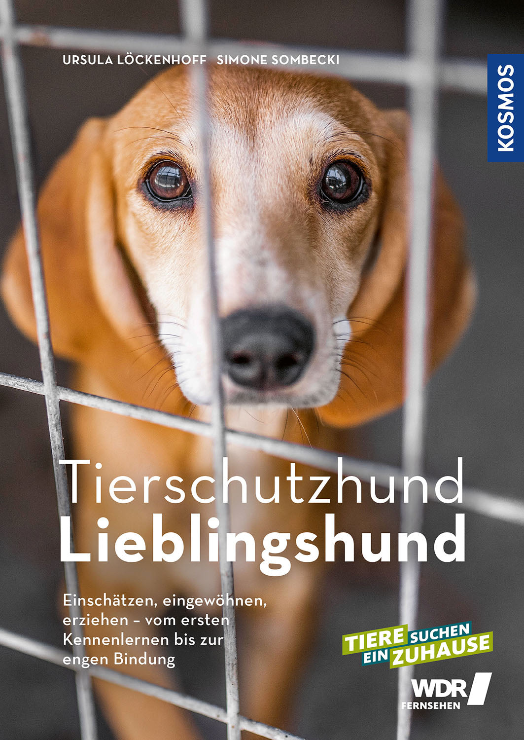 kosmos-tierschutzhund-lieblingshund-buch-ratgeber-adoption image 1