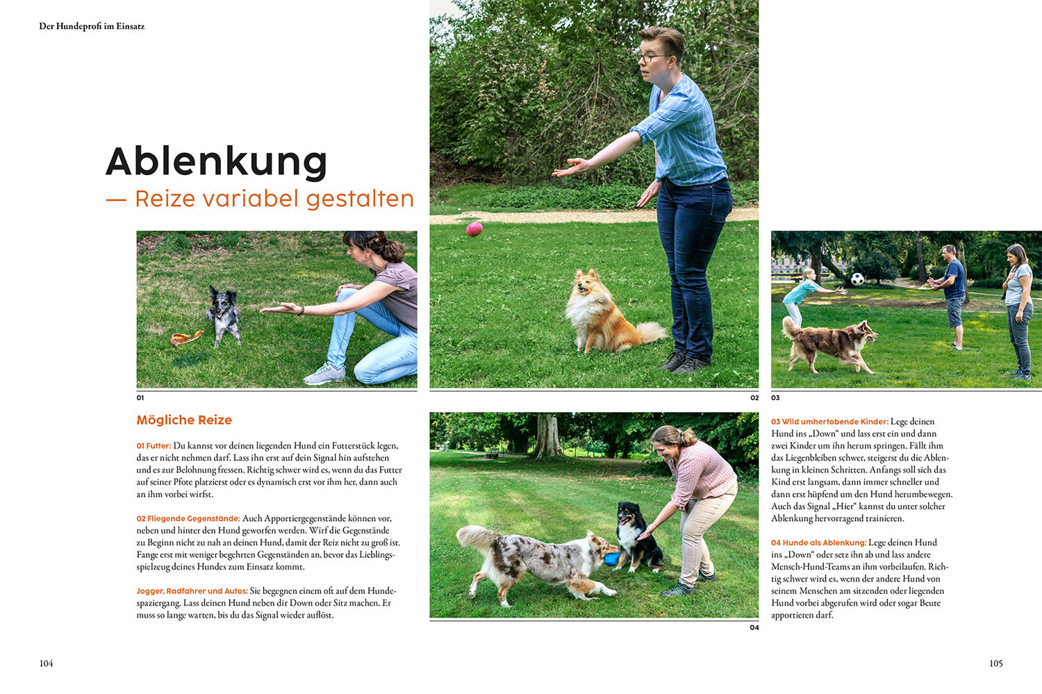 kosmos-hundetraining-mit-martin-r-tter-hunde-ratgeber-buch image 5