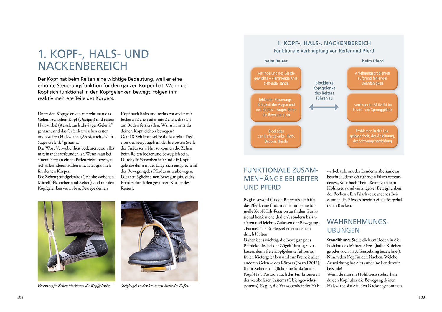 kosmos-verbessere-dein-reiten-buch-ratgeber-reiten-lernen image 6