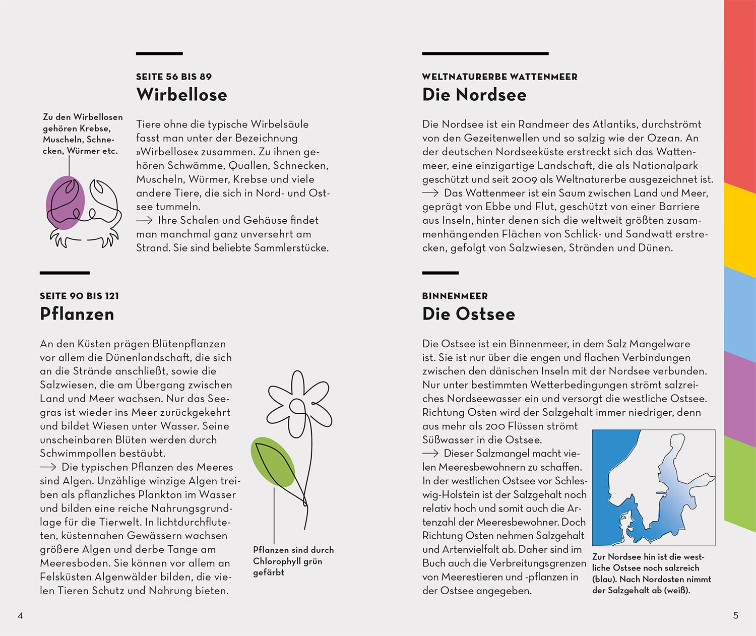 kosmos-basic-strand-und-k-ste-naturf-hrer-taschenbuch image 3