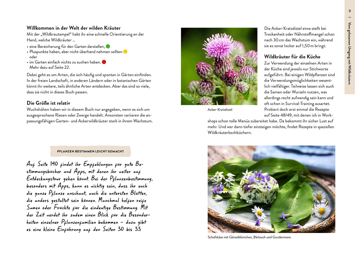 garden-guide-wildkrautampel-gartenbuch-40-wildpflanzen image 3