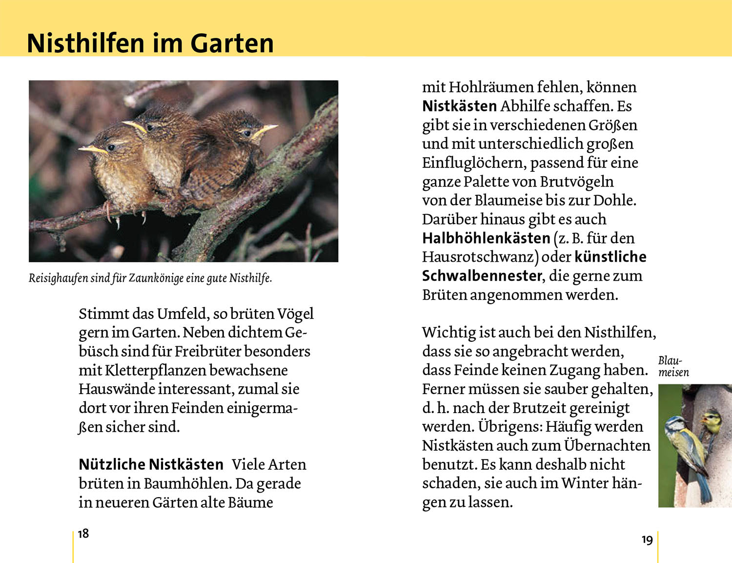 kosmos-alle-v-gel-sind-schon-da-vogelf-hrer-mit-cd-50-gartenv-gel image 4