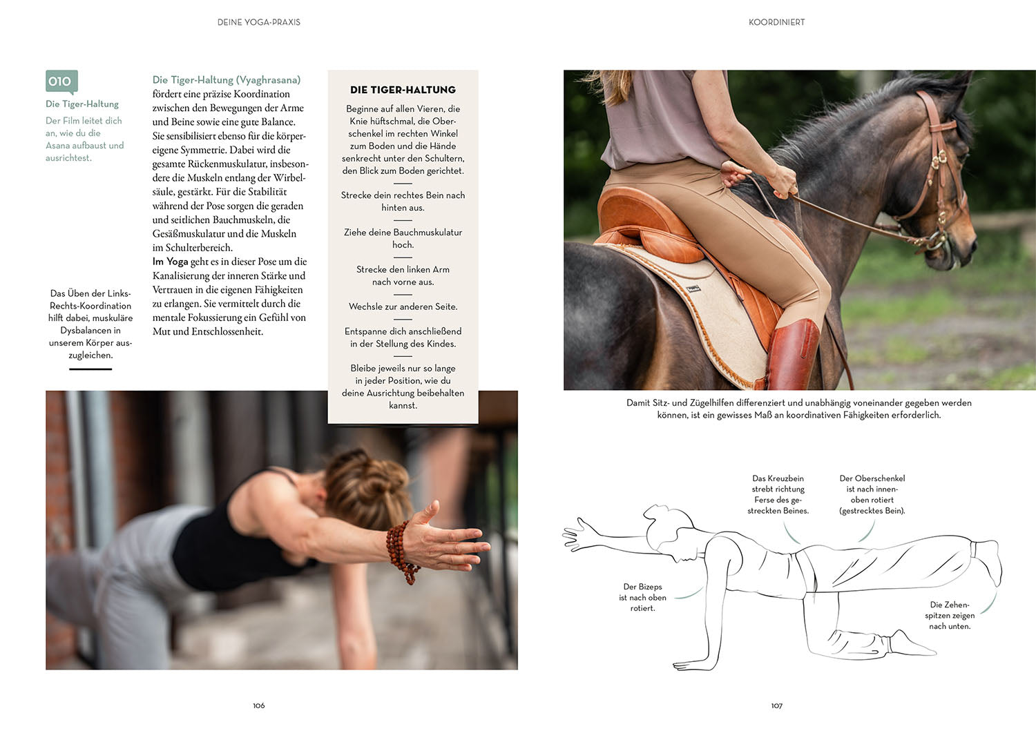kosmos-reiten-in-balance-mit-yoga-buch-f-r-reiter image 6