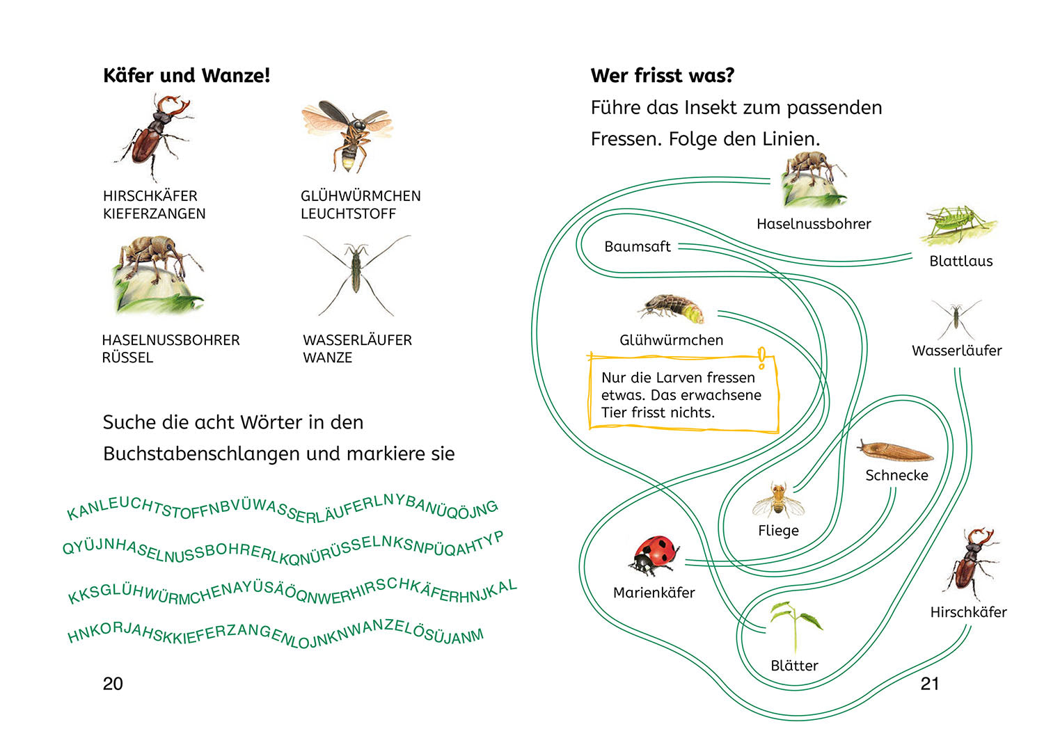kosmos-b-cherhelden-lesen-lernen-naturr-tsel-insekten-2-klasse image 4