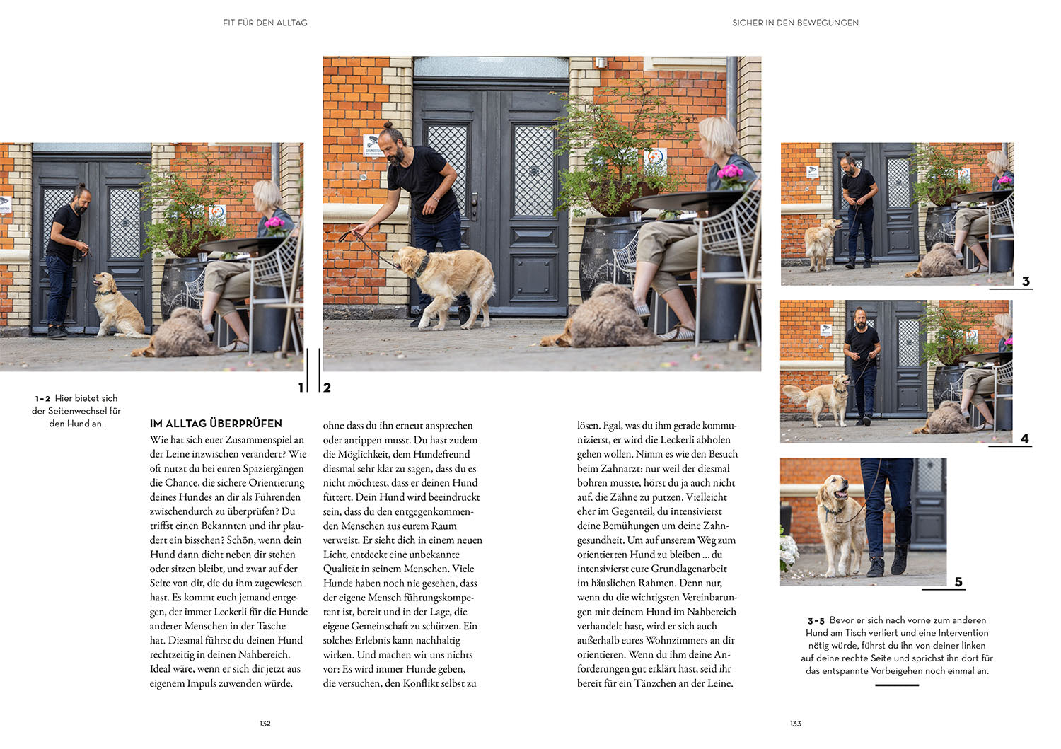 leinenf-hrigkeit-sami-el-ayachi-buch-hundetraining image 6