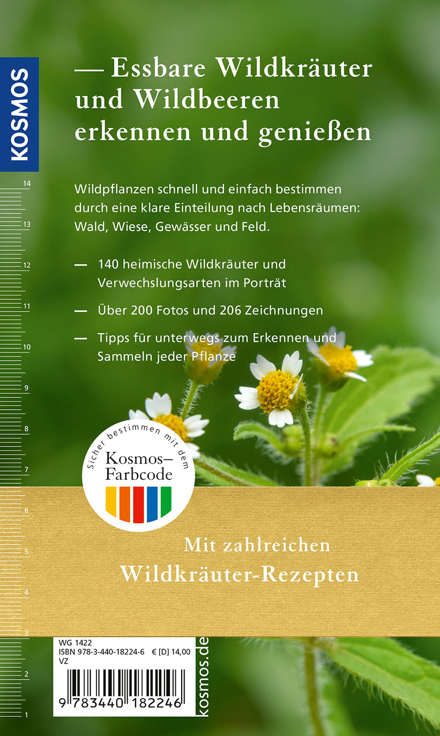 adventure-games-b-cher-essbare-wildkr-uter-naturf-hrer-140-arten image 2