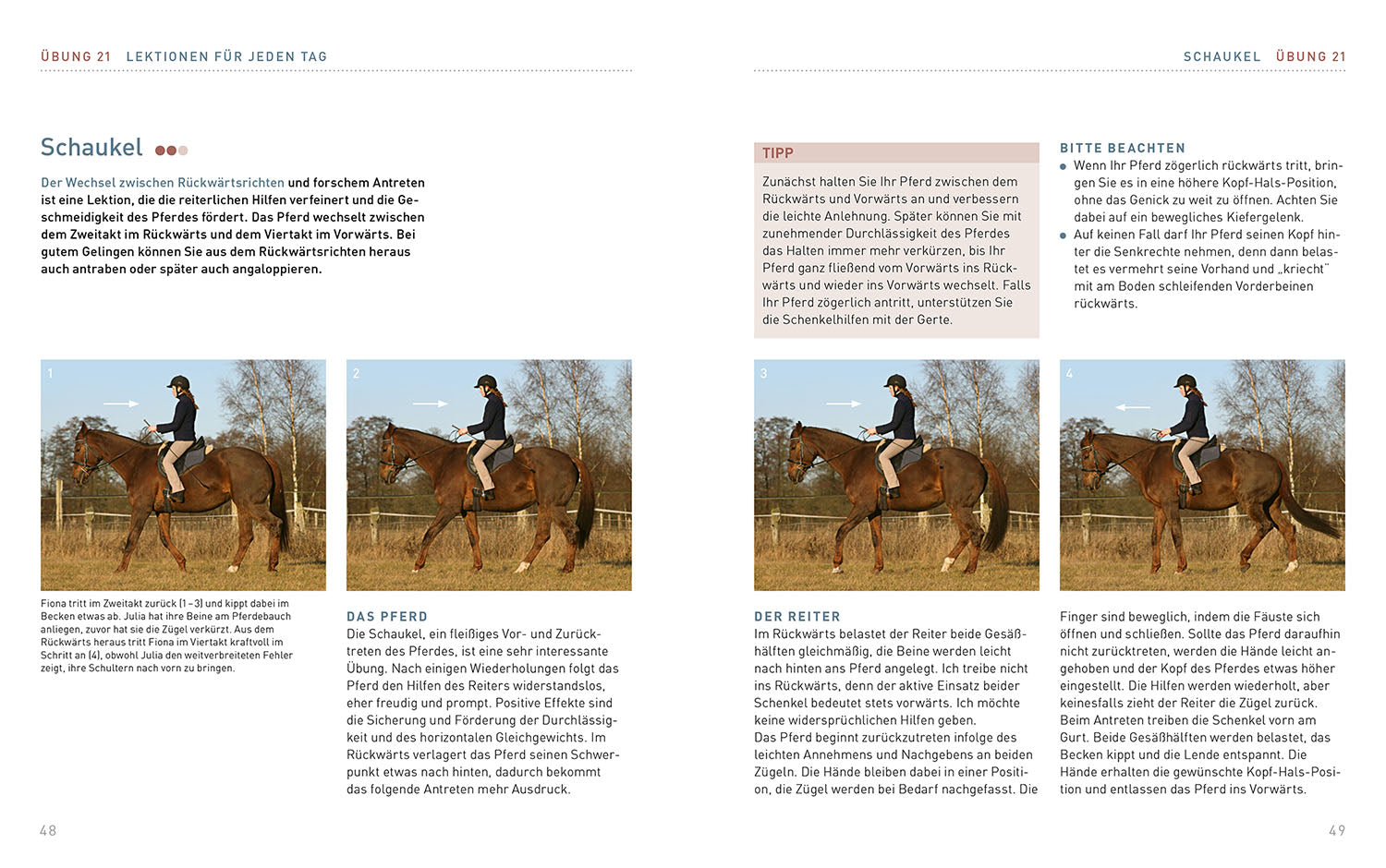 kosmos-lektionen-f-r-die-reitstunde-buch-sibylle-wiemer image 5