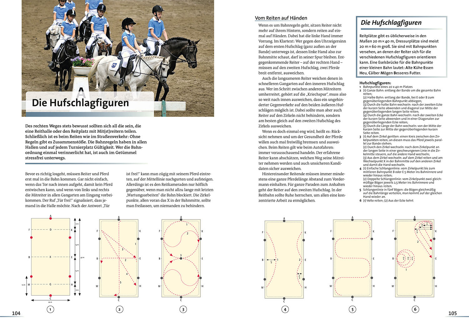 kosmos-alles-ber-pferde-buch-haltung-rassen-reiten image 6