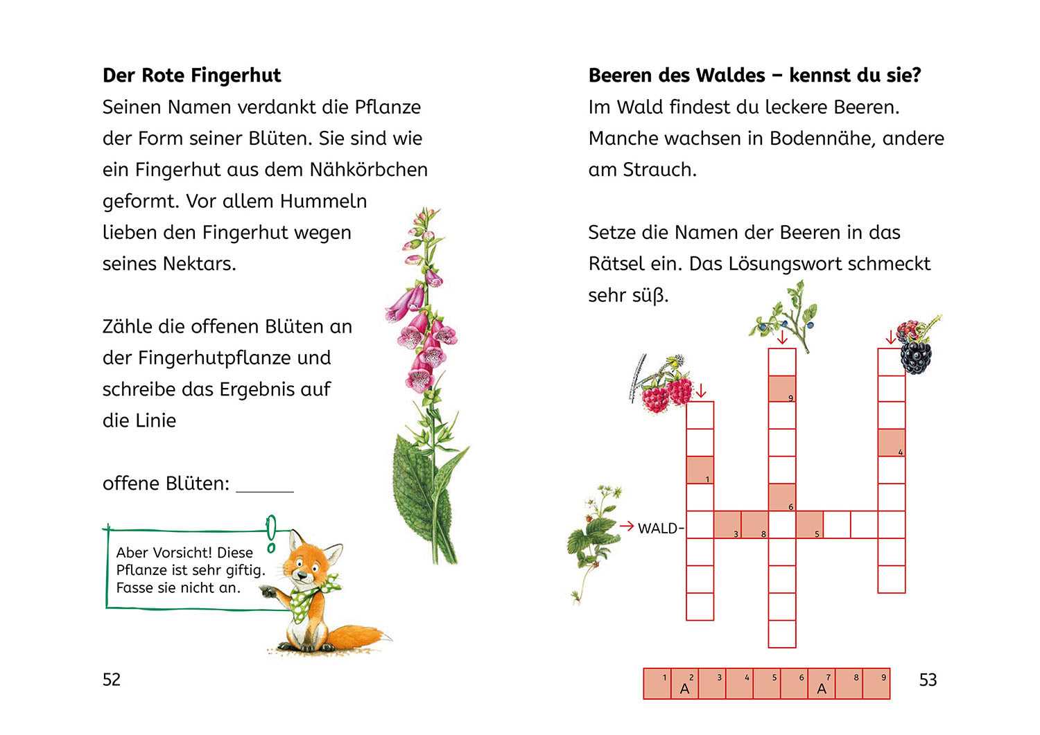 kosmos-b-cherhelden-lesen-lernen-mit-naturr-tseln-2-klasse image 8