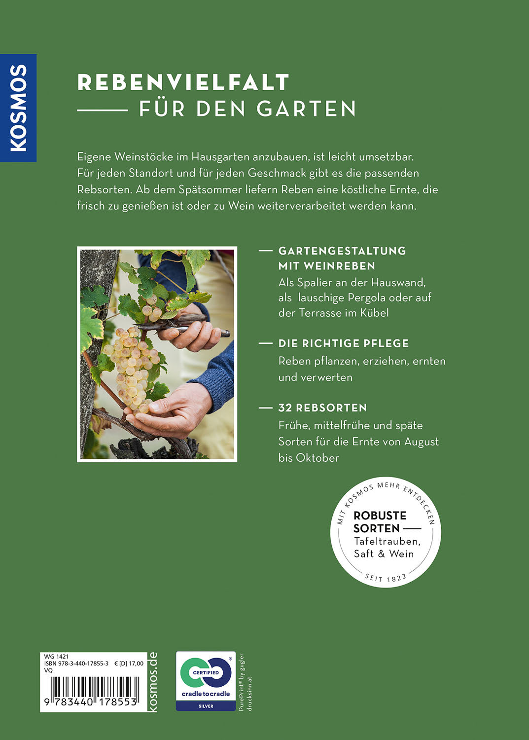 kosmos-wein-im-garten-anbauen-ernten-ratgeber-rebsorten image 2