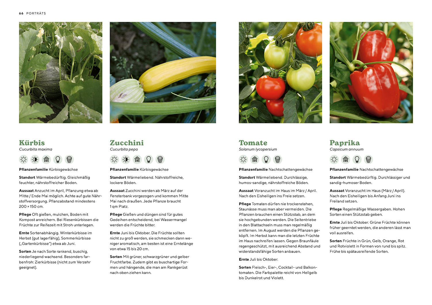 die-zauberkicker-biog-rtnern-buch-bio-garten-einsteiger image 6