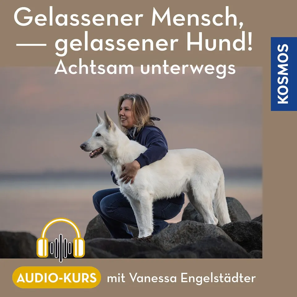 die-zauberkicker-gelassener-mensch-gelassener-hund-audio-kurs-achtsamkeit image 1