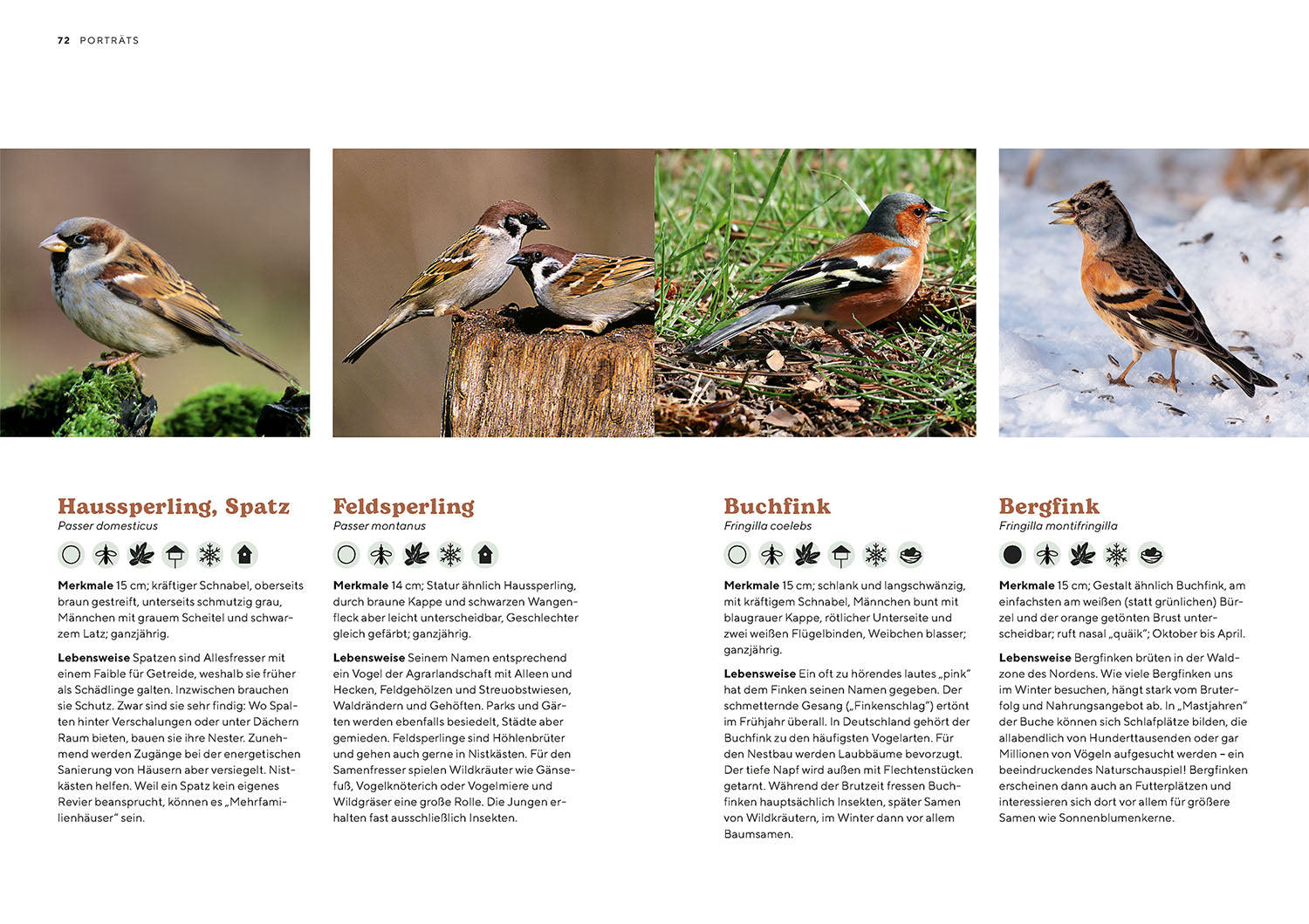 kosmos-vogelparadies-garten-ratgeber-buch-gartenv-gel image 6