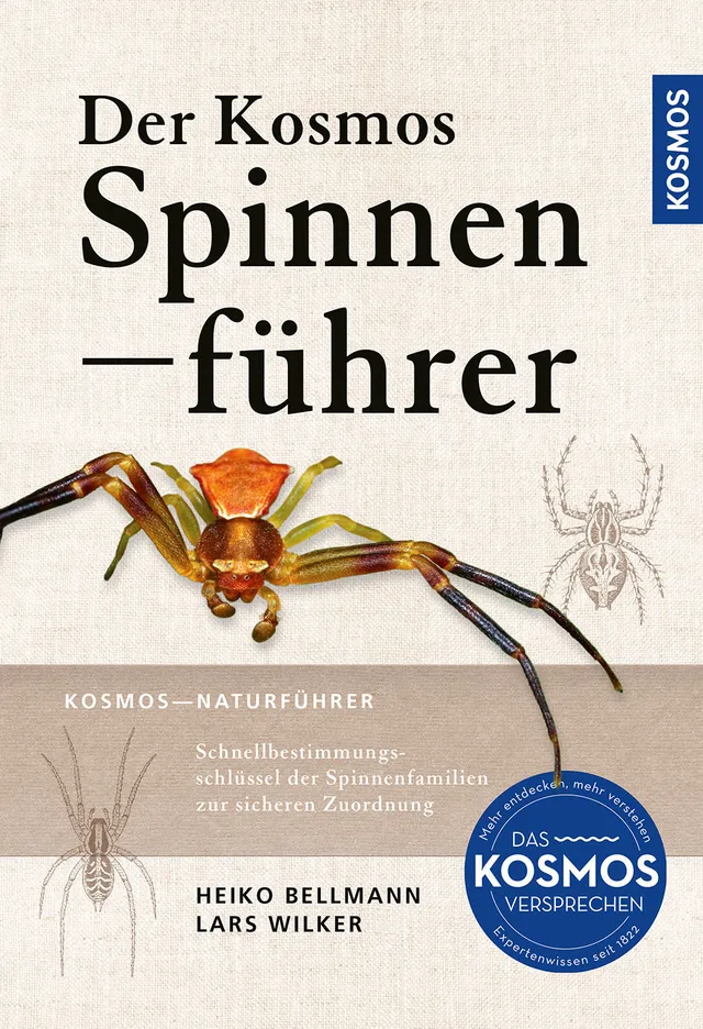 kosmos-spinnenf-hrer-buch-400-arten-bestimmen image 1