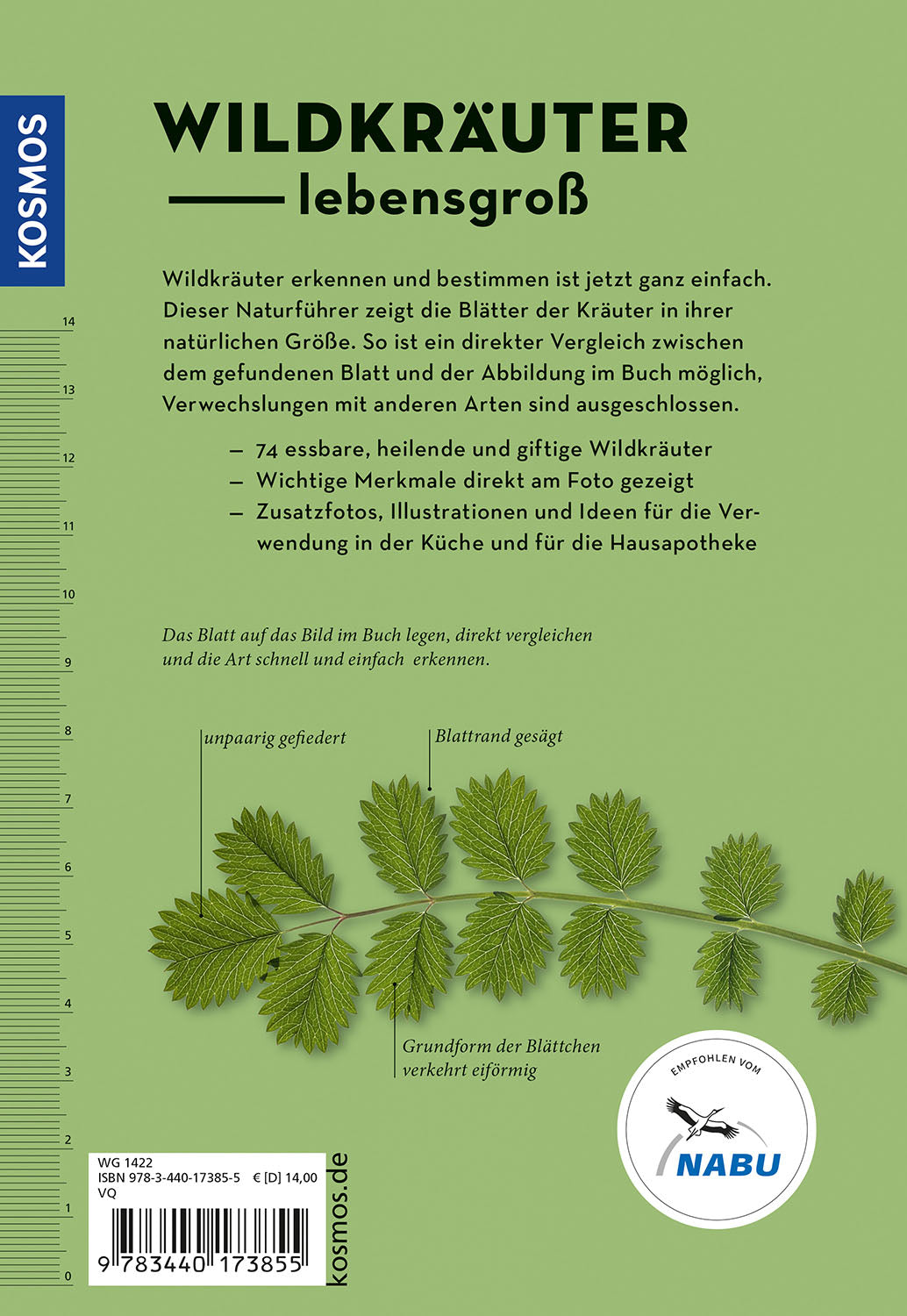 kosmos-wildkr-uter-am-blatt-erkennen-bestimmungsbuch-2 image 2
