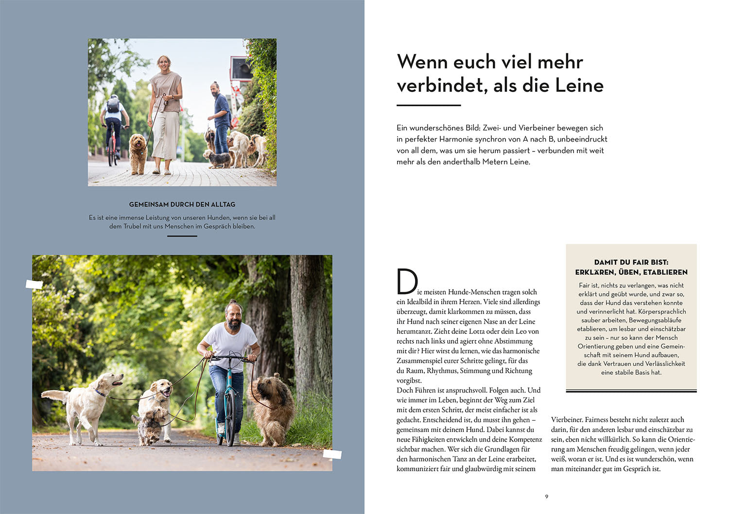 leinenf-hrigkeit-sami-el-ayachi-buch-hundetraining image 3