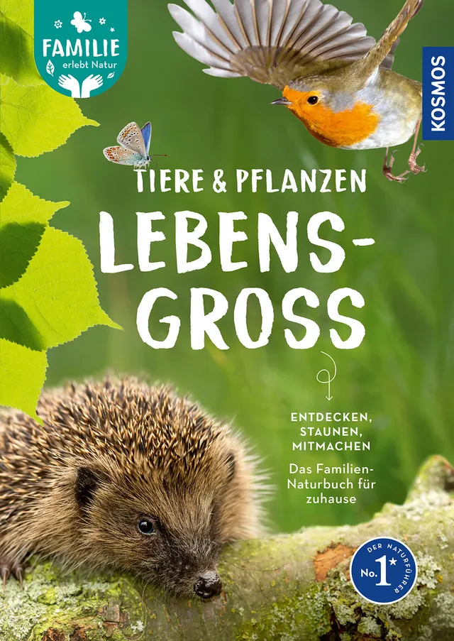 kosmos-tiere-und-pflanzen-lebensgro-buch-mit-80-arten-familie image 1
