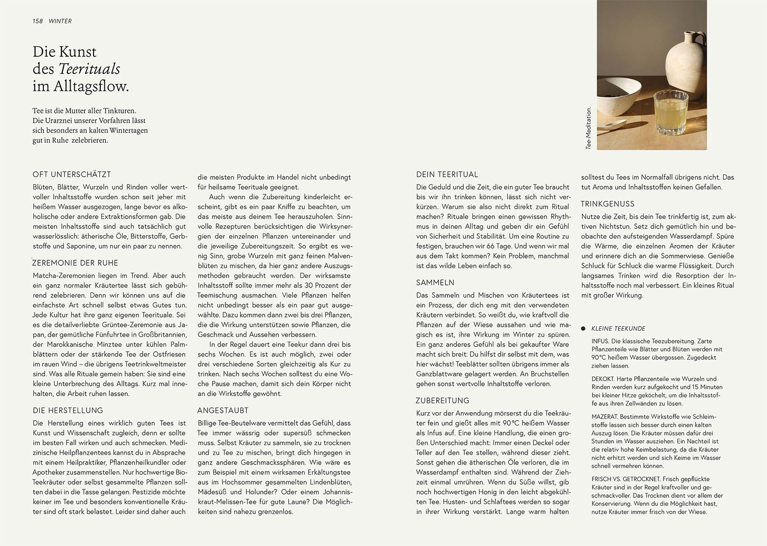 kosmos-kruut-wildpflanzen-kr-uterbuch-geschenkausgabe image 6