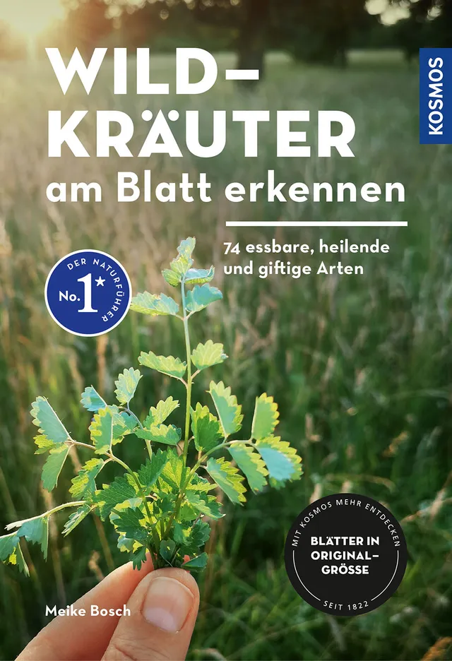 kosmos-wildkr-uter-am-blatt-erkennen-bestimmungsbuch-2 image 1