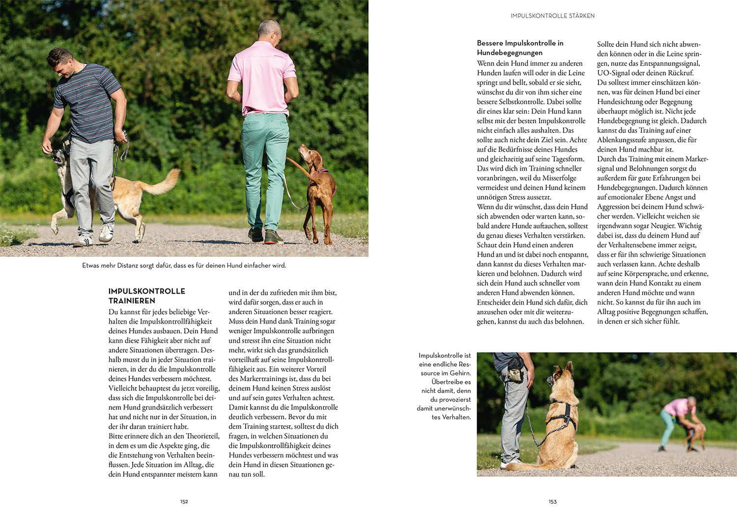 kosmos-marker-training-f-r-hunde-ratgeber-buch image 6