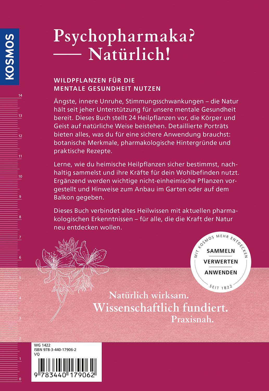 wildpflanzen-f-r-die-mentale-gesundheit-ratgeber-24-arten image 2