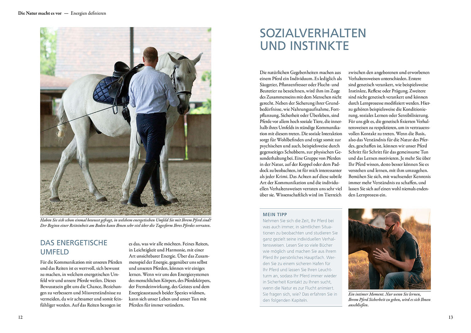 kosmos-das-spiel-mit-der-energie-buch-pferd-energieniveaus image 3