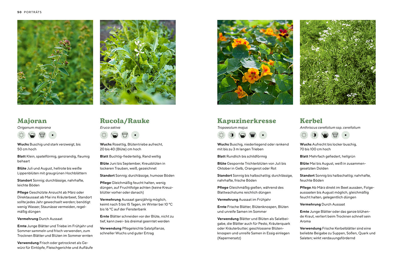 kosmos-kr-utergarten-ratgeber-kr-uterbeet-einsteiger image 5