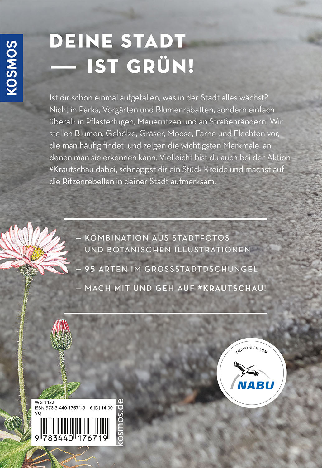 kosmos-das-w-chst-in-deiner-stadt-bestimmungsbuch-pflanzen image 2