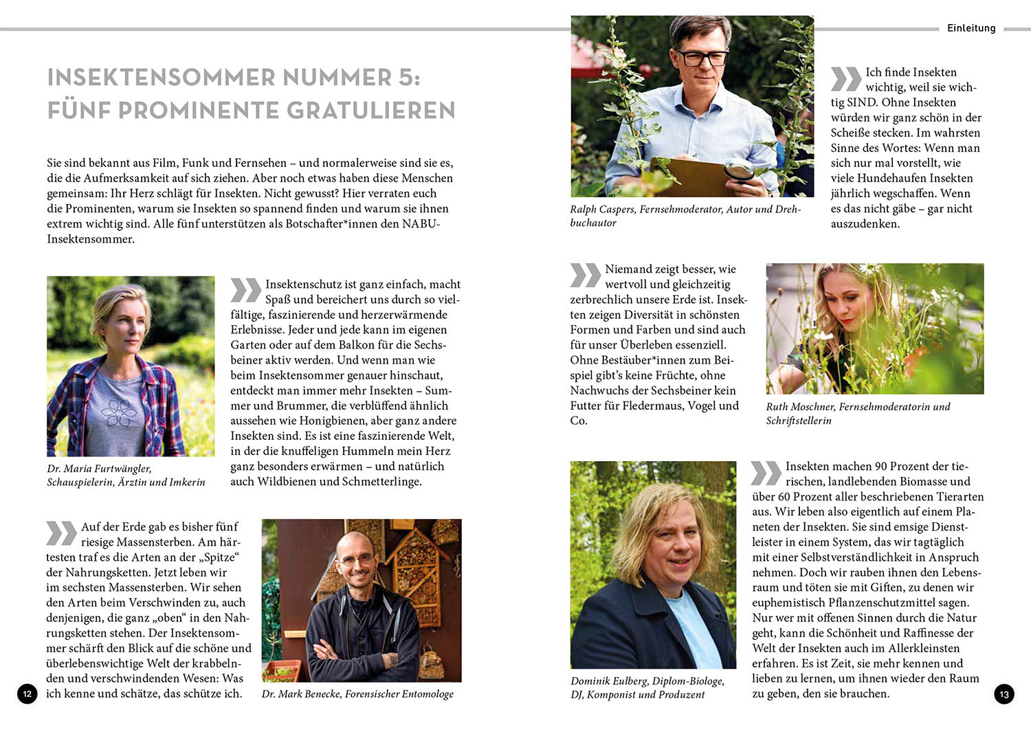 kosmos-wer-summt-denn-hier-insekten-bestimmungsbuch image 3