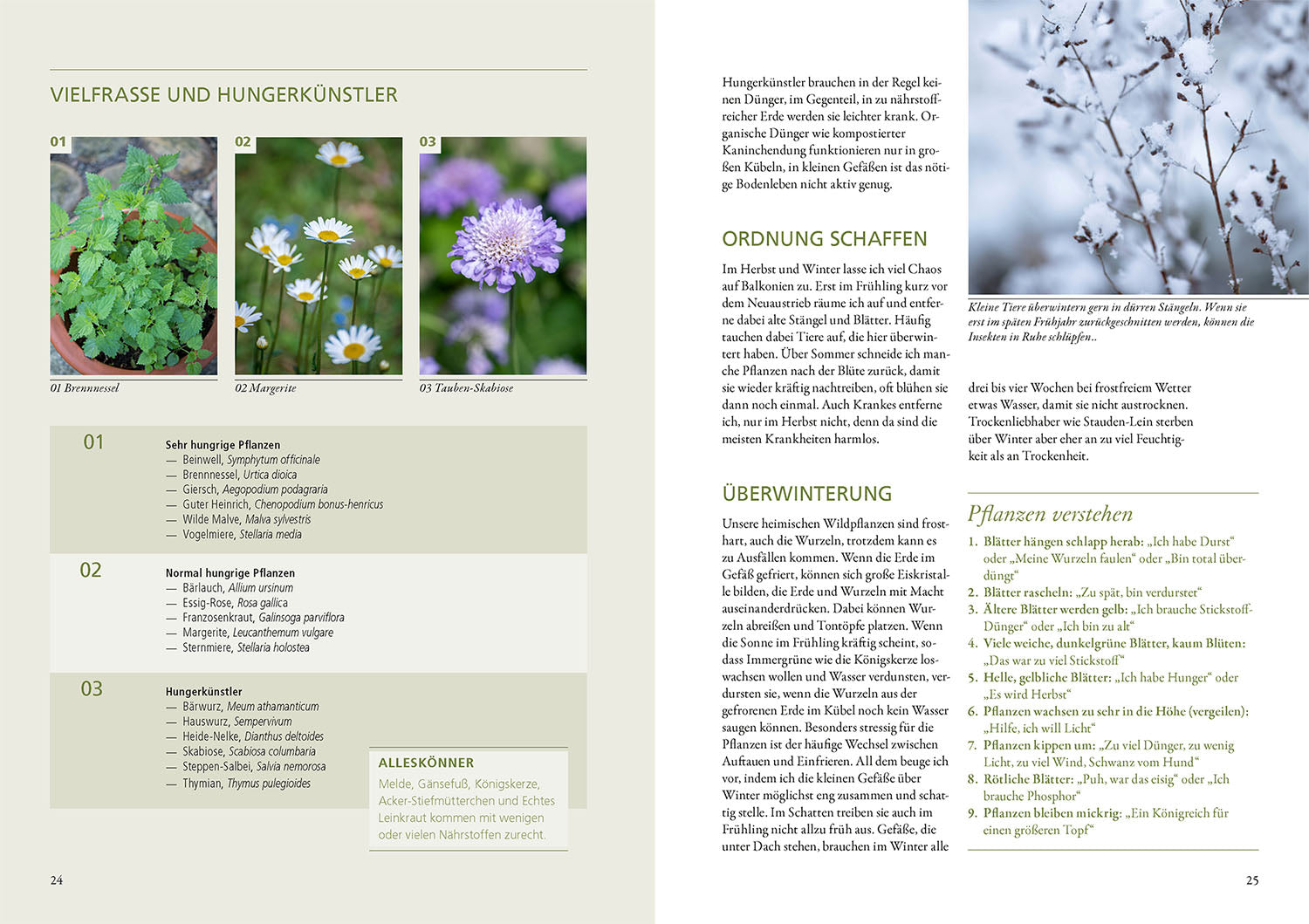 kosmos-wildkr-uter-in-t-pfen-k-beln-kr-uterbuch image 4