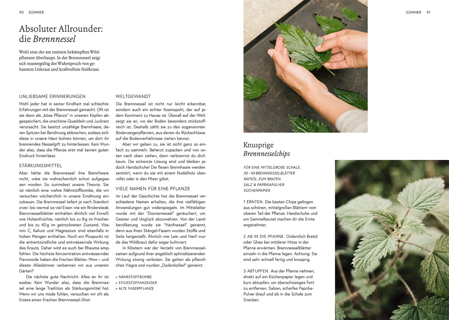 kosmos-kruut-wildpflanzen-kr-uterbuch-geschenkausgabe image 5