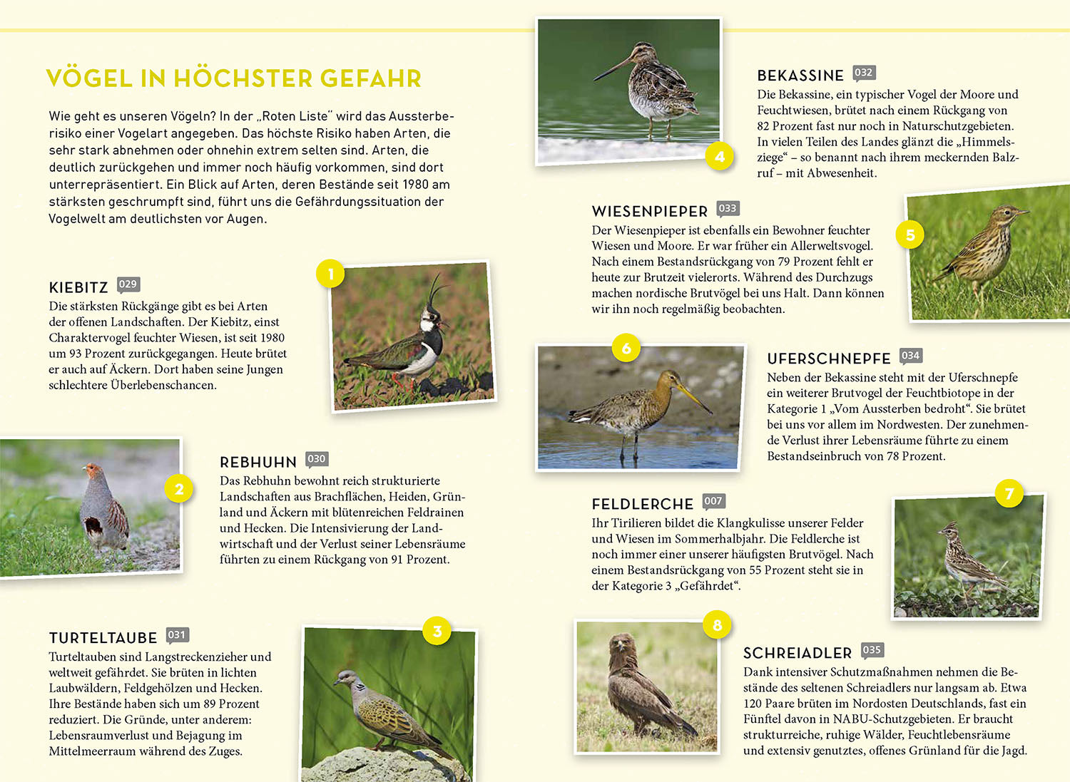 kosmos-lieblingsv-gel-buch-36-arten-vogelstimmen-per-app image 5