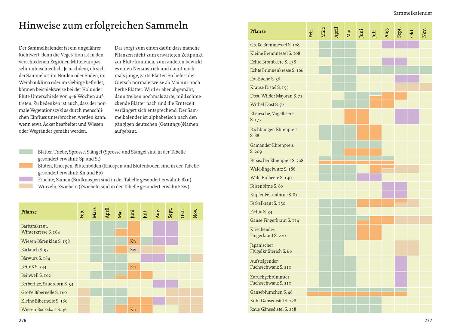 kosmos-unsere-essbaren-wildpflanzen-buch-bestimmen-sammeln image 6