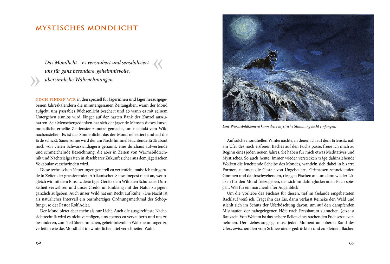 kosmos-im-hier-und-jetzt-buch-hochsitz-jagd-j-rg-mangold image 6
