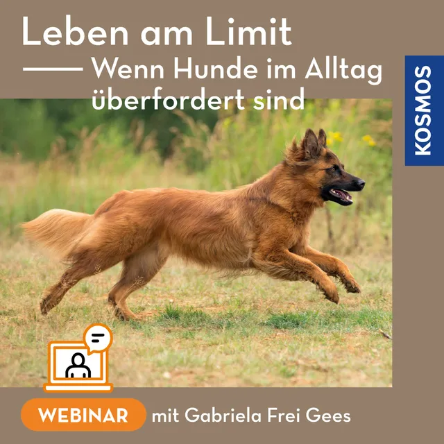 kosmos-leben-am-limit-webinar-hund-berfordert-live image 1
